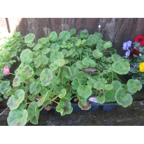Lot 3056      