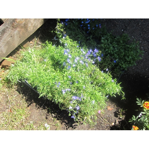 Lot 3059      
