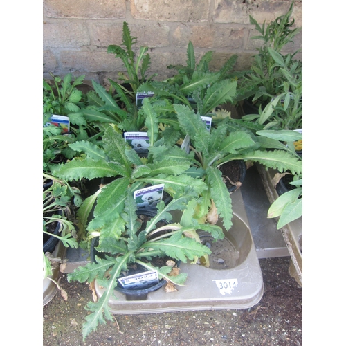 Lot 3023      