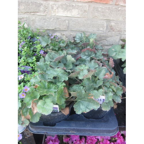 Lot 3034      