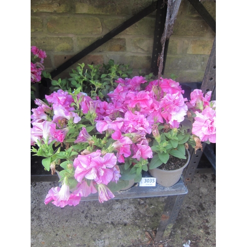 Lot 3035      