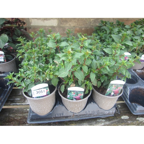 Lot 3051      
