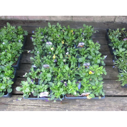 Lot 3056      