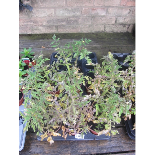 Lot 3051      