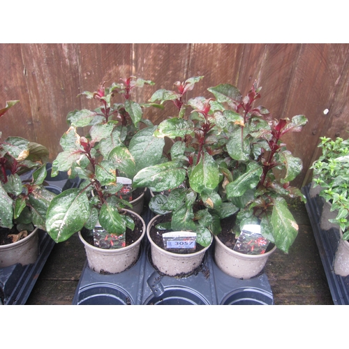 Lot 3057      