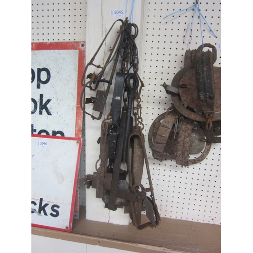 Lot 5045      