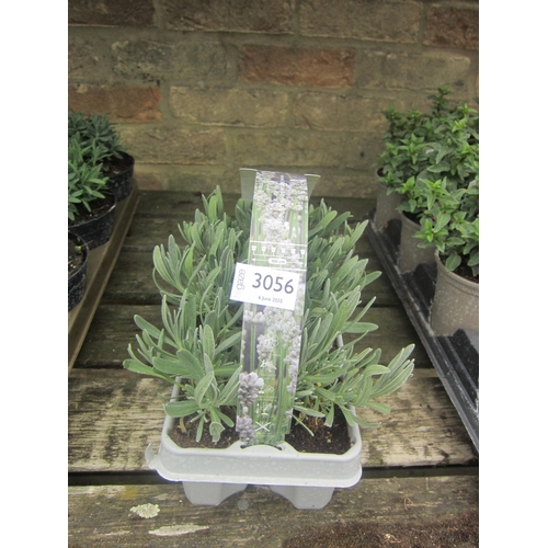 Lot 3056      