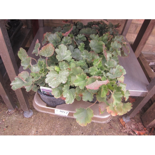 Lot 3012      