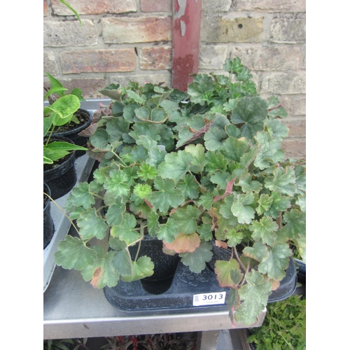 Lot 3013      