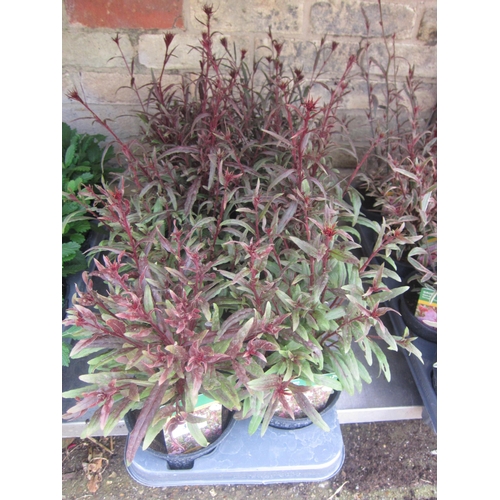 Lot 3021      