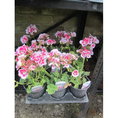 Lot 3031      