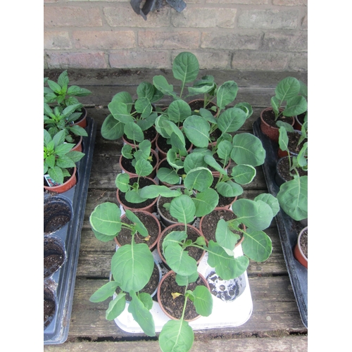 Lot 3054      