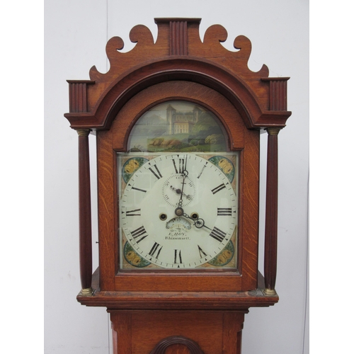 Lot 7006      
