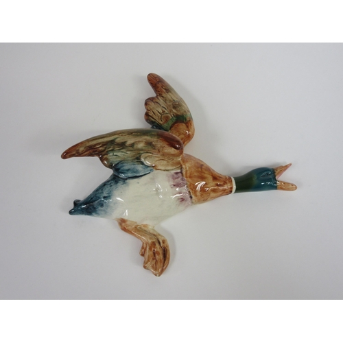 Lot 8006      