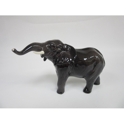 Lot 8031      
