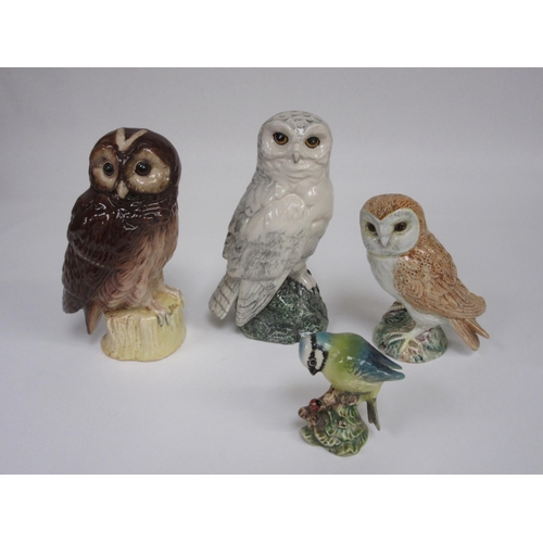 Lot 8048      