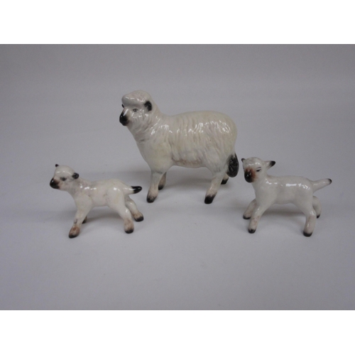 Lot 8059      