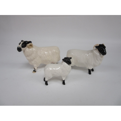 Lot 8060      