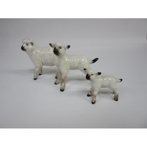 Lot 8061      