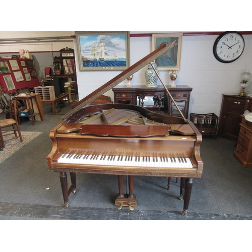 Lot 1024      