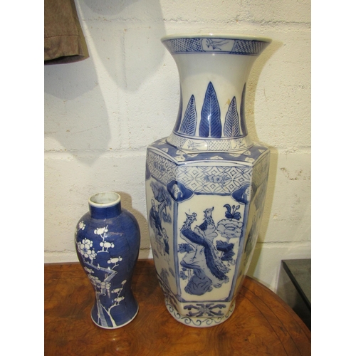 Lot 1034      