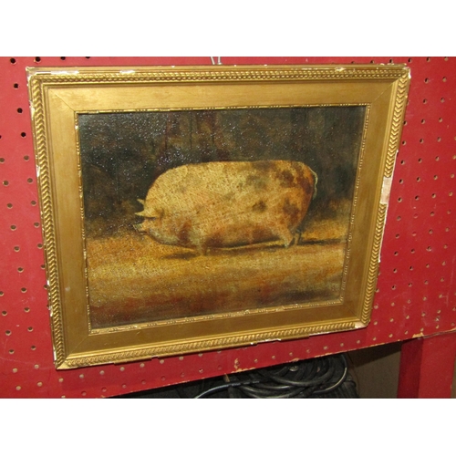 Lot 1054      