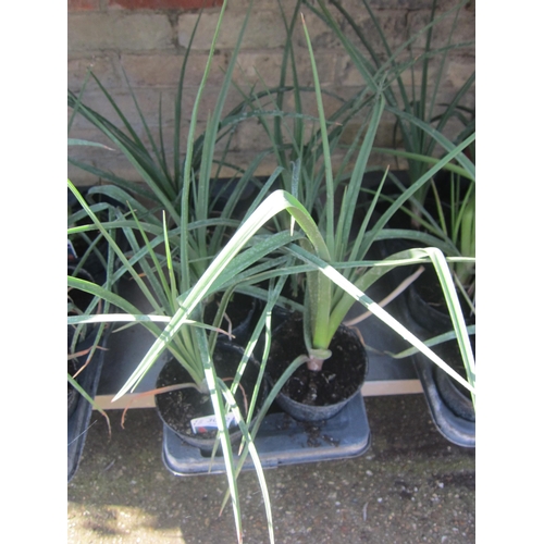 Lot 3022      