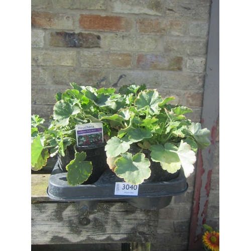 Lot 3040      