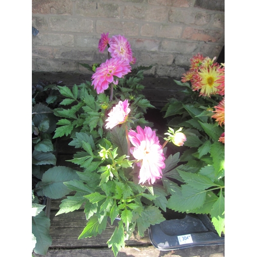 Lot 3048      