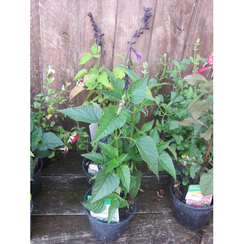 Lot 3058      