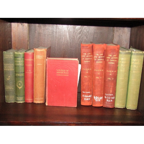Lot 4028      