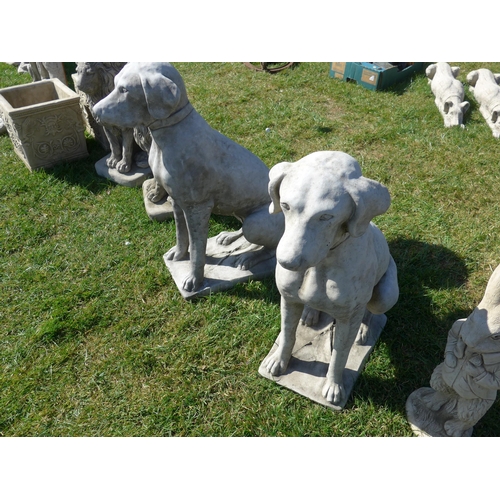 Lot 6046      