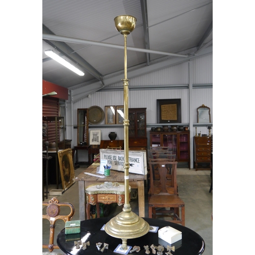 Lot 2006      