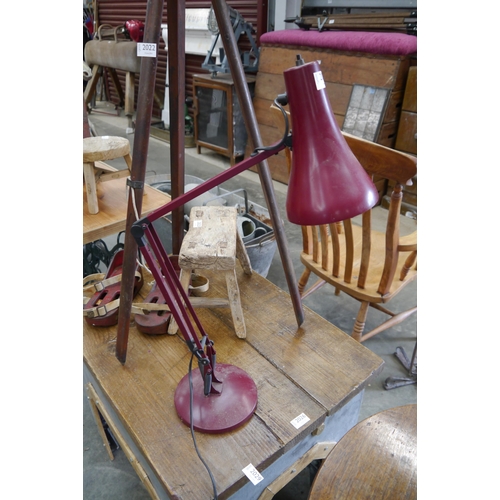 Lot 2024      