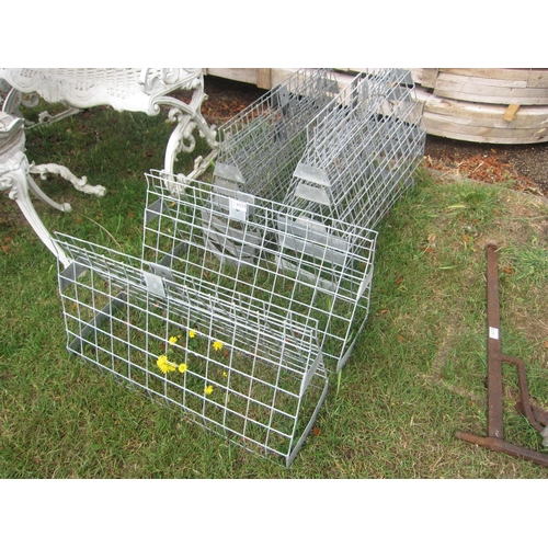 Lot 6029      