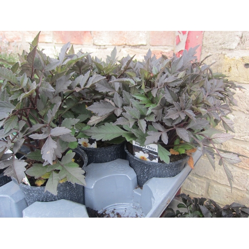 Lot 3010      