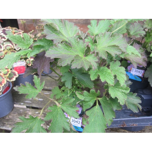 Lot 3042      