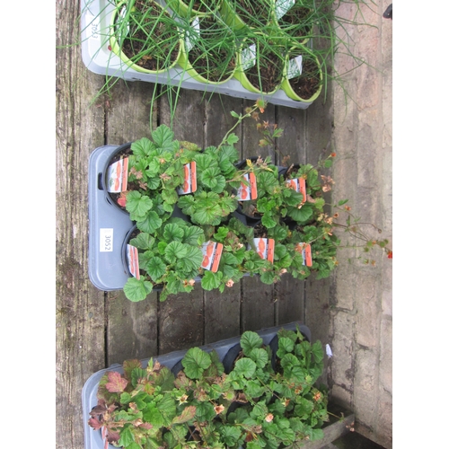 Lot 3052      