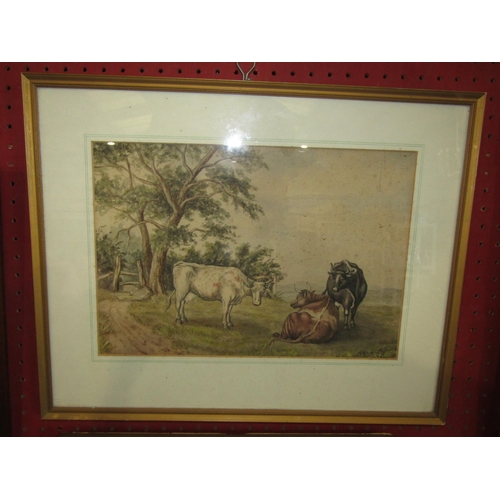 Lot 1035      