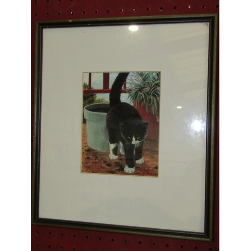 Lot 1047      