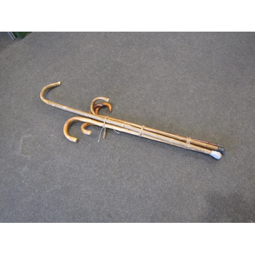 Lot 1010      
