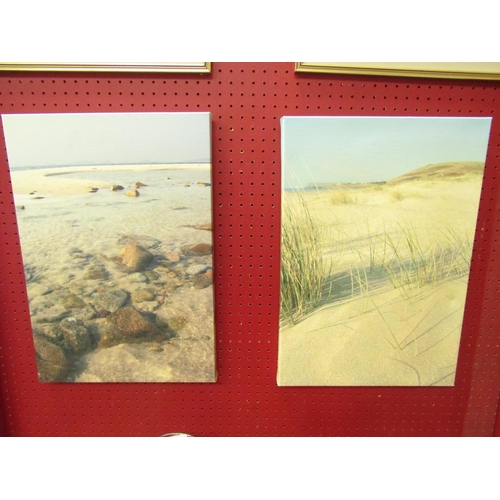 Lot 4056      