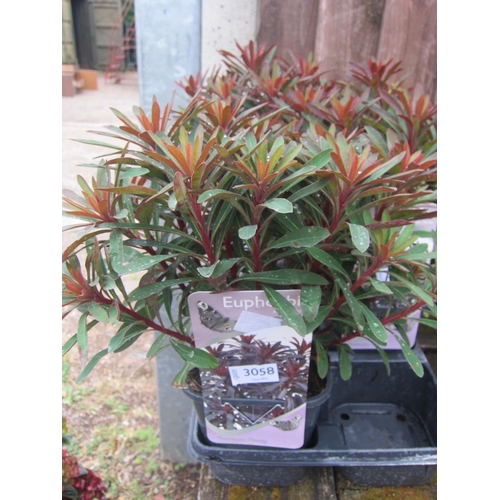 Lot 3058      