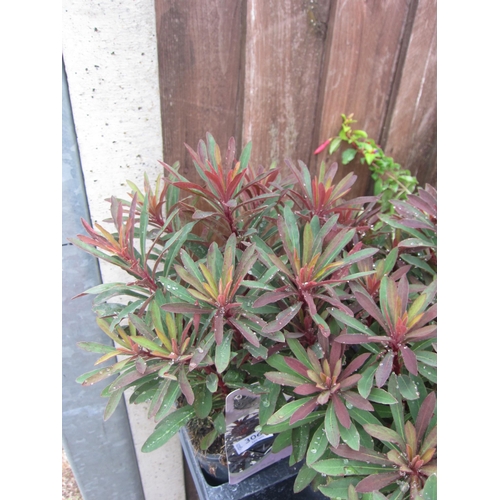 Lot 3060      