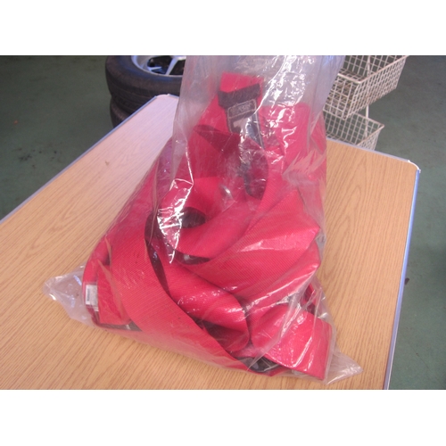 7089 - TRS race harnesses