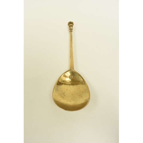 Lot 8035      