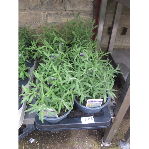 Lot 3015      