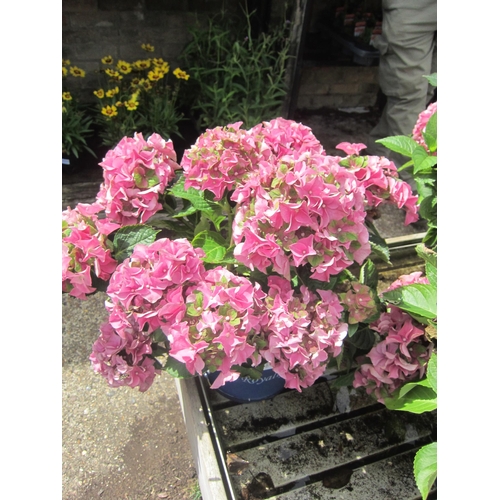 Lot 3060      