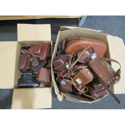 Lot 9029      