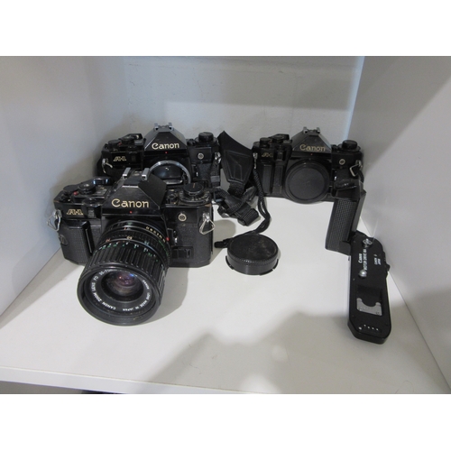 Lot 9059      